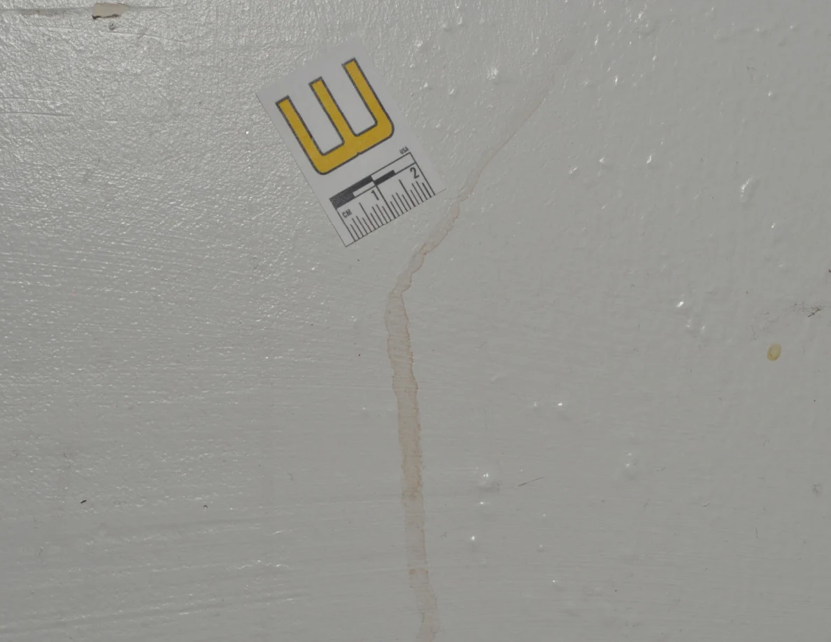 Close view of label W beside a faint vertical tan mark.