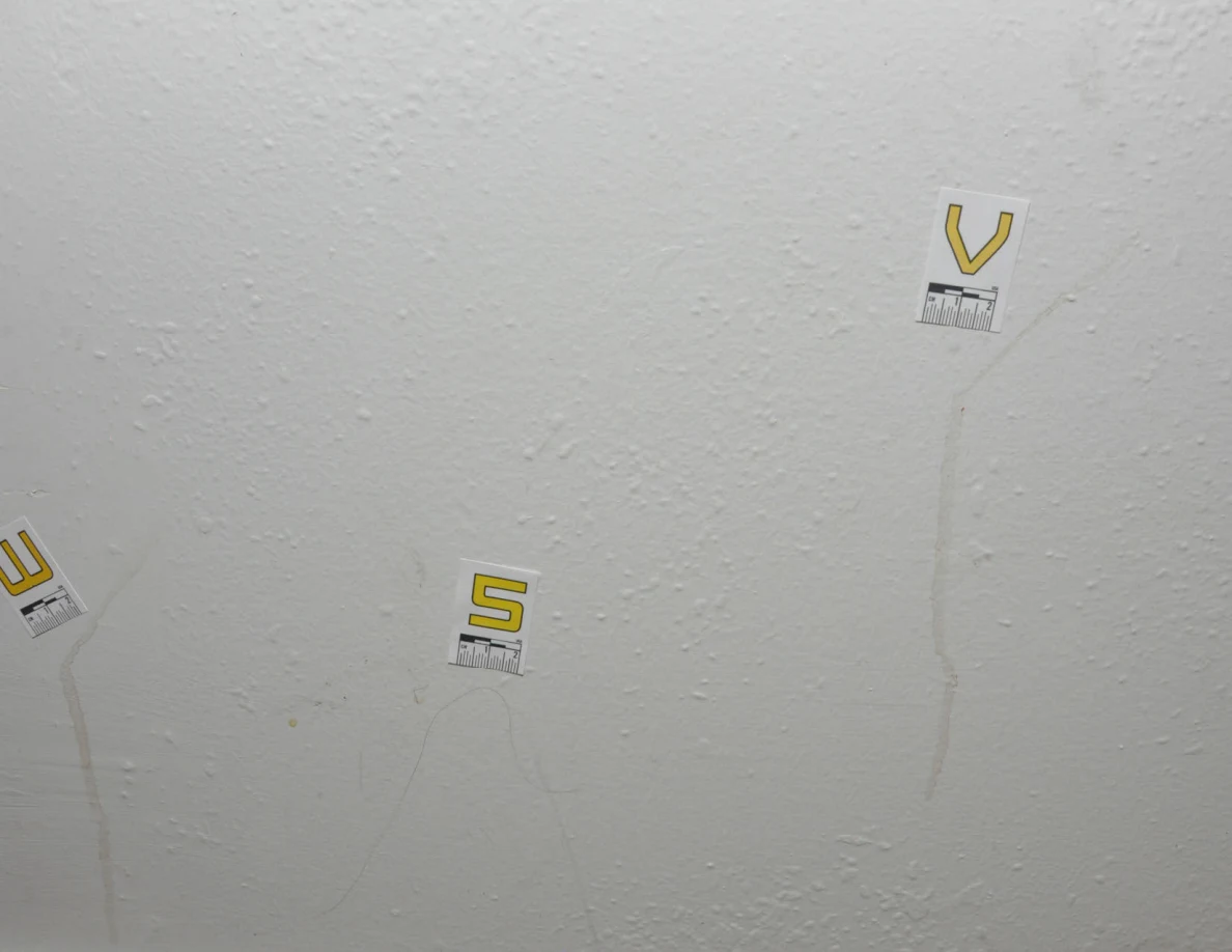 Labels W, S and V near faint marks on a pale wall.