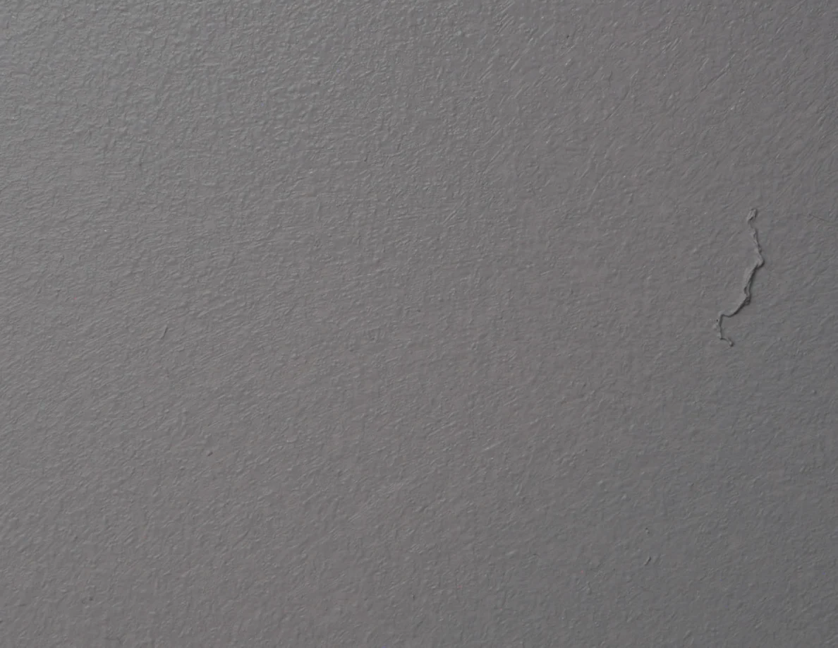 Pale textured wall with a thin dark curved strand or fiber at the right.