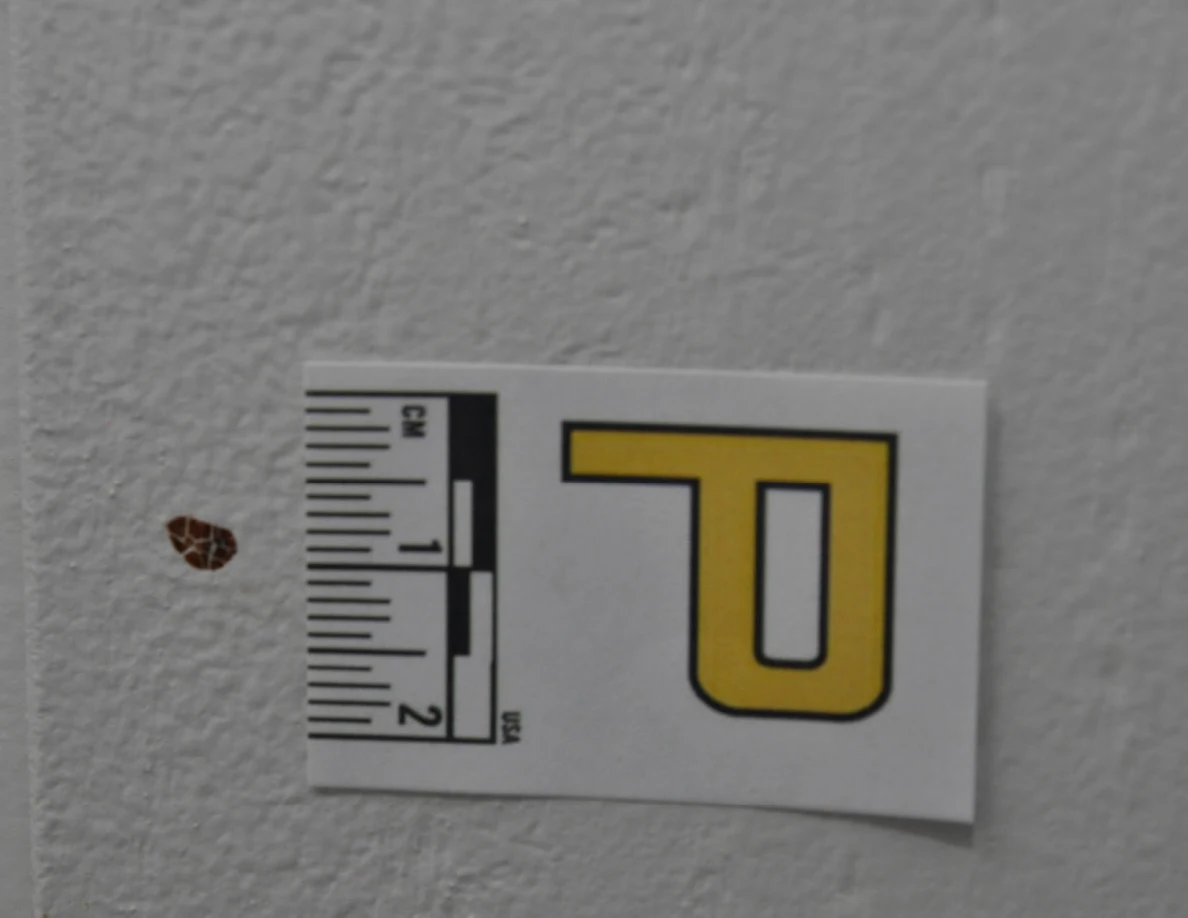 Close view of a small brown spot on textured paint beside a letter P measuring scale.
