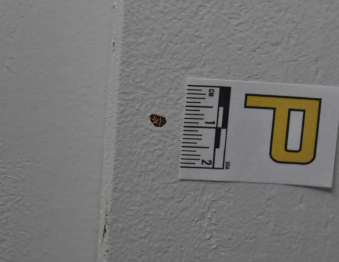 Angled close view of a brown wall spot beside a letter P scale.