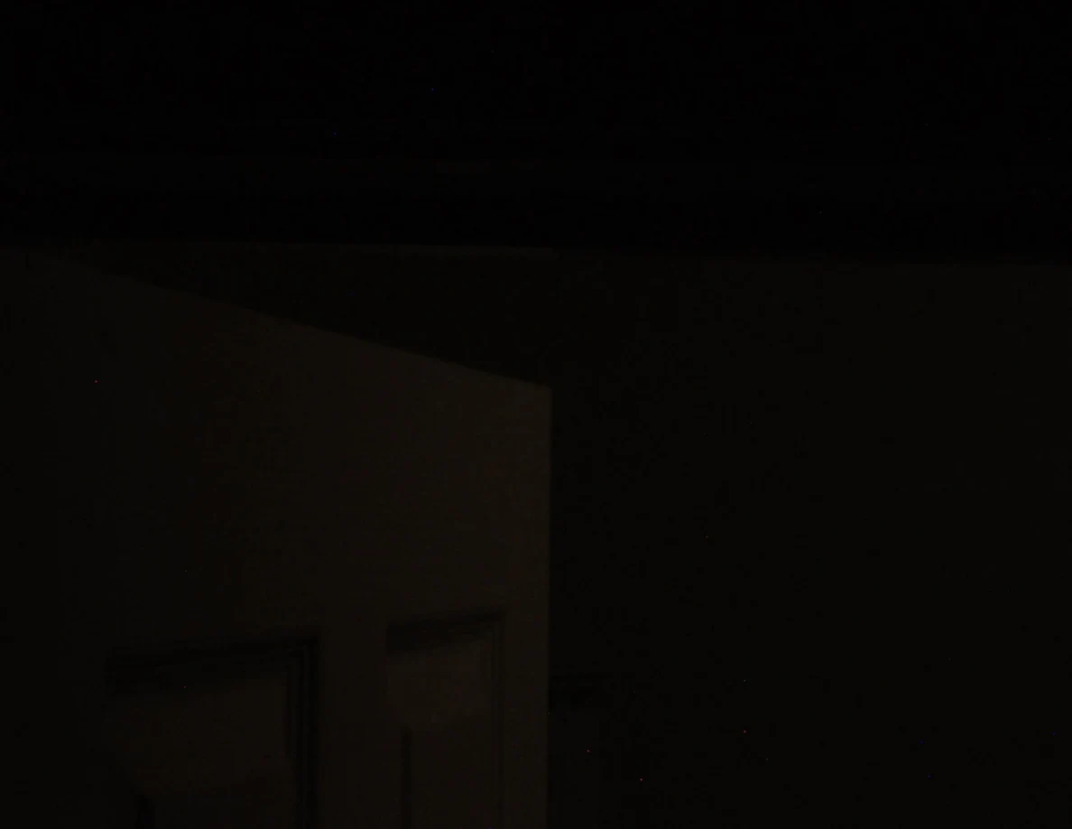 Very dark view of the upper part of a paneled door; surrounding details are difficult to see.