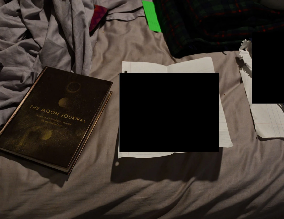 A book titled The Moon Journal beside redacted papers on rumpled bedding.