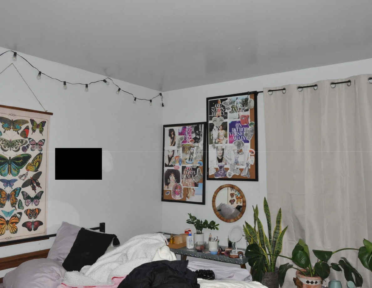 Bed beneath string lights and wall collages with potted plants beside curtains; one wall area is redacted.