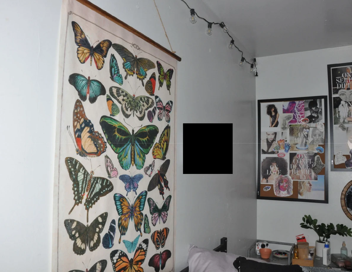 Butterfly wall hanging and string lights beside framed collages, with a black redaction on the wall.
