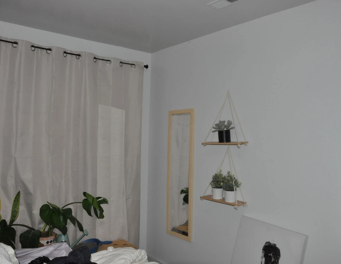 Curtained window beside a narrow wall mirror and hanging shelves holding small potted plants.