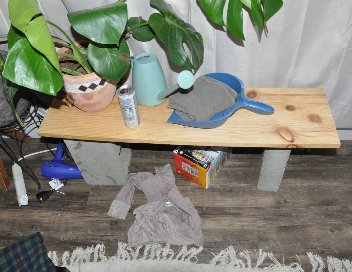 Wooden plank bench on concrete blocks with a potted plant, watering can, blue dustpan and drink can.