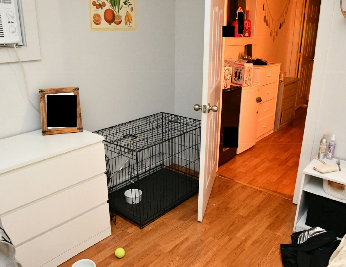 White dresser beside a black wire pet crate, bowl and tennis ball near an open bedroom door.