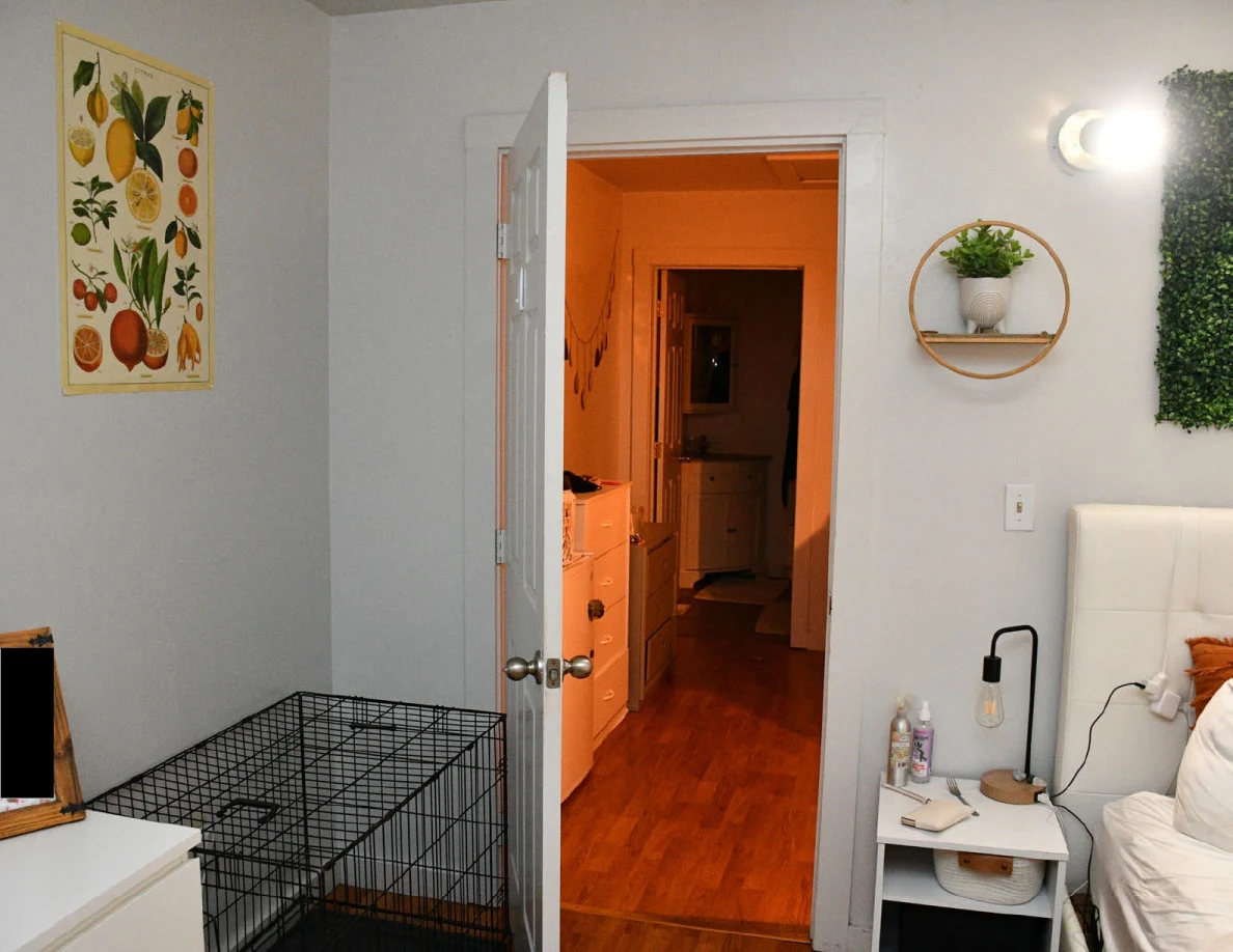 Bedroom door beside a wire pet crate, bedside table, wall planter and fruit print.