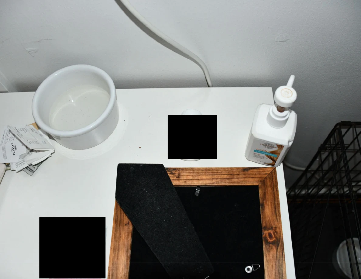 Closer dresser-top view of a bowl, pump bottle and redacted items beside a wire pet crate.