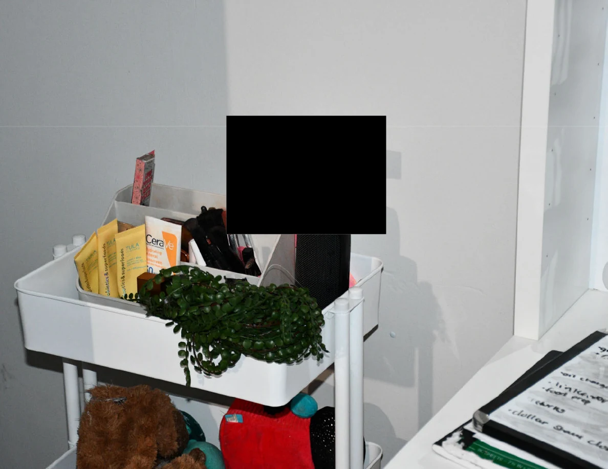 White rolling cart with brushes, packaged toiletries, a trailing plant and redacted object.