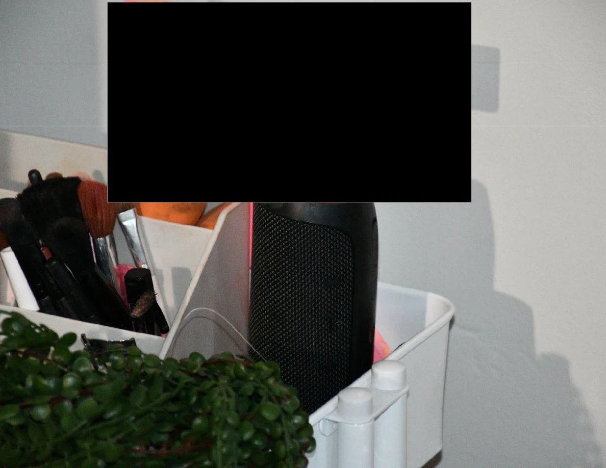 Close view of brushes, a black rectangular device and a trailing plant on a cart, with redaction above.