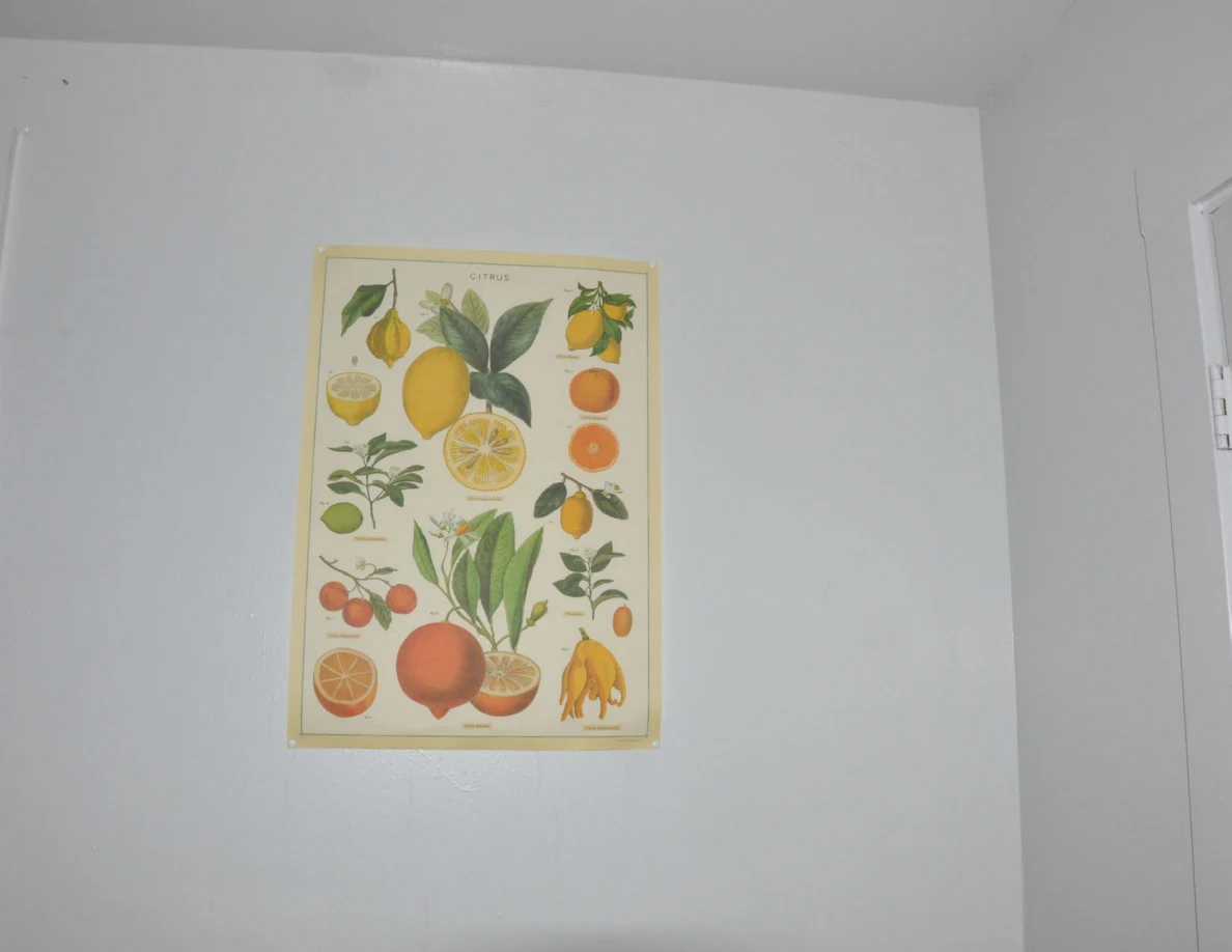 Botanical citrus-fruit print hanging on a pale bedroom wall.