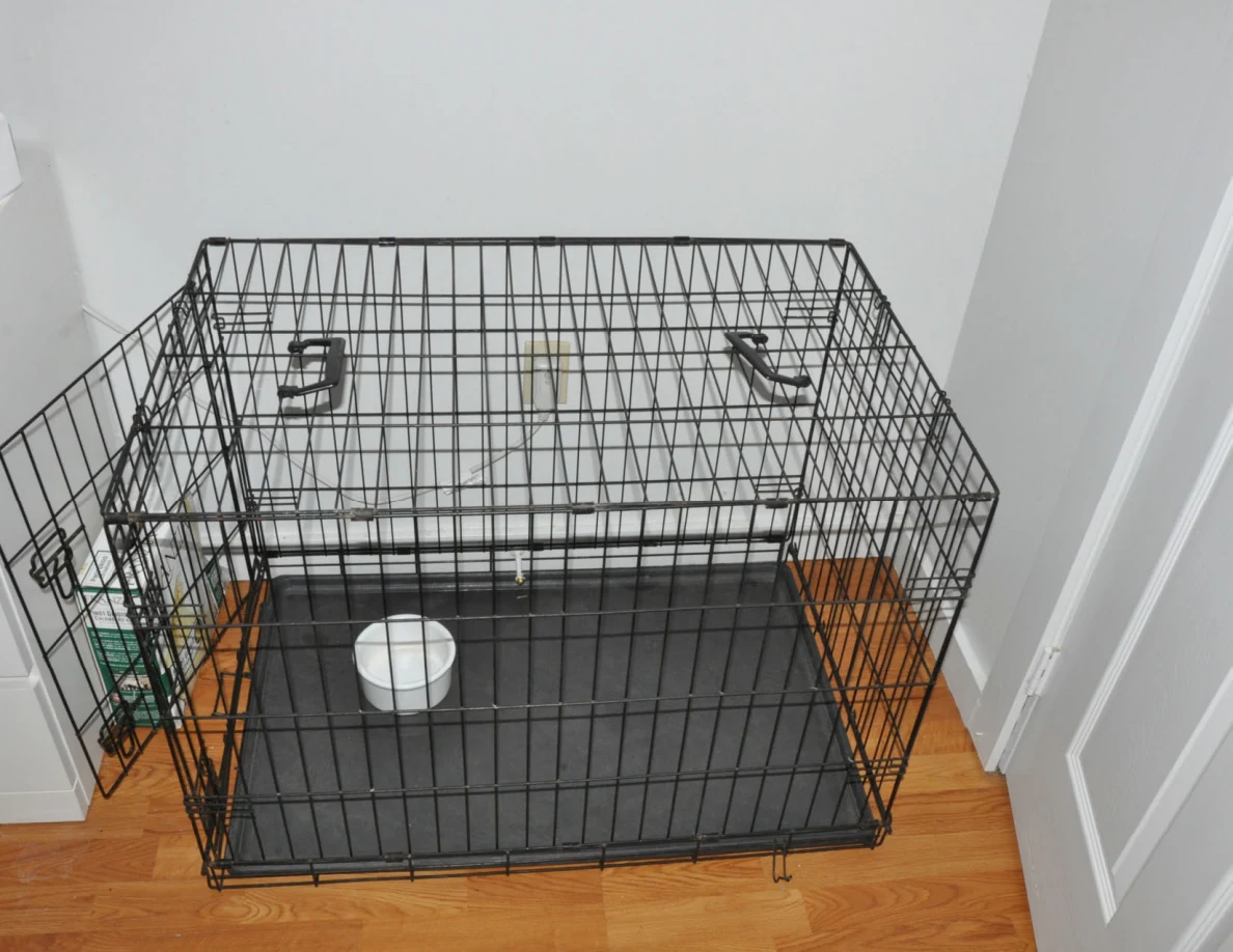 Black wire pet crate with open door and a white bowl inside.