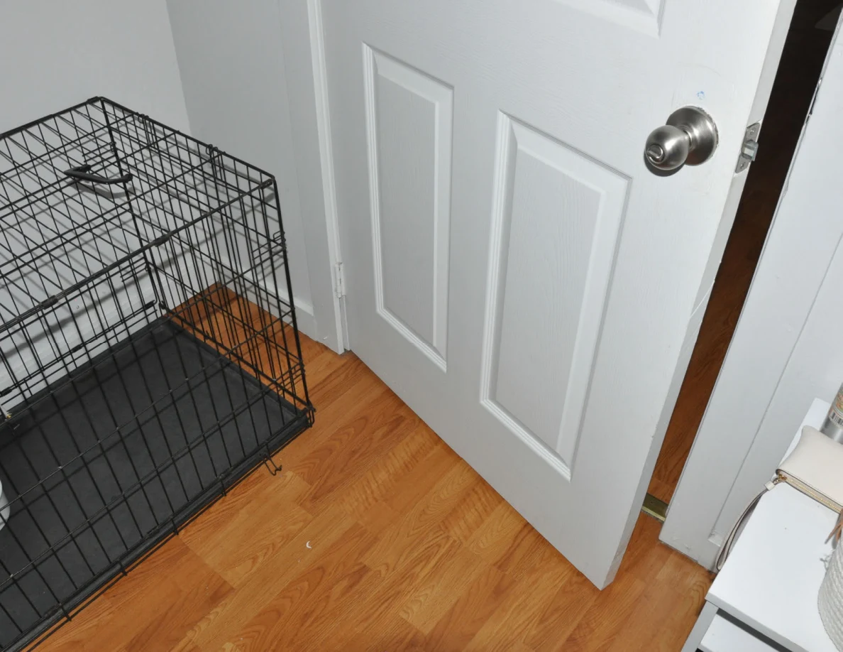 Pet crate beside a white paneled bedroom door and wood-pattern flooring.