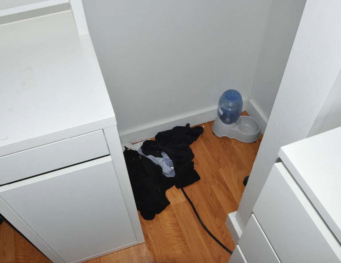 Blue pet water dispenser and a pile of dark clothing in a floor corner between white furniture.