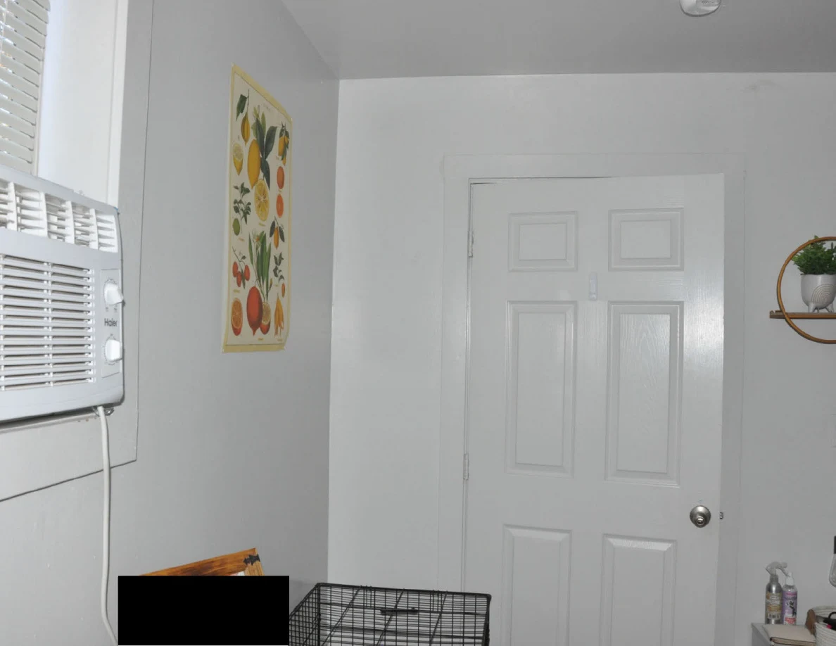 Closed bedroom door beside fruit wall art and a window air conditioner.