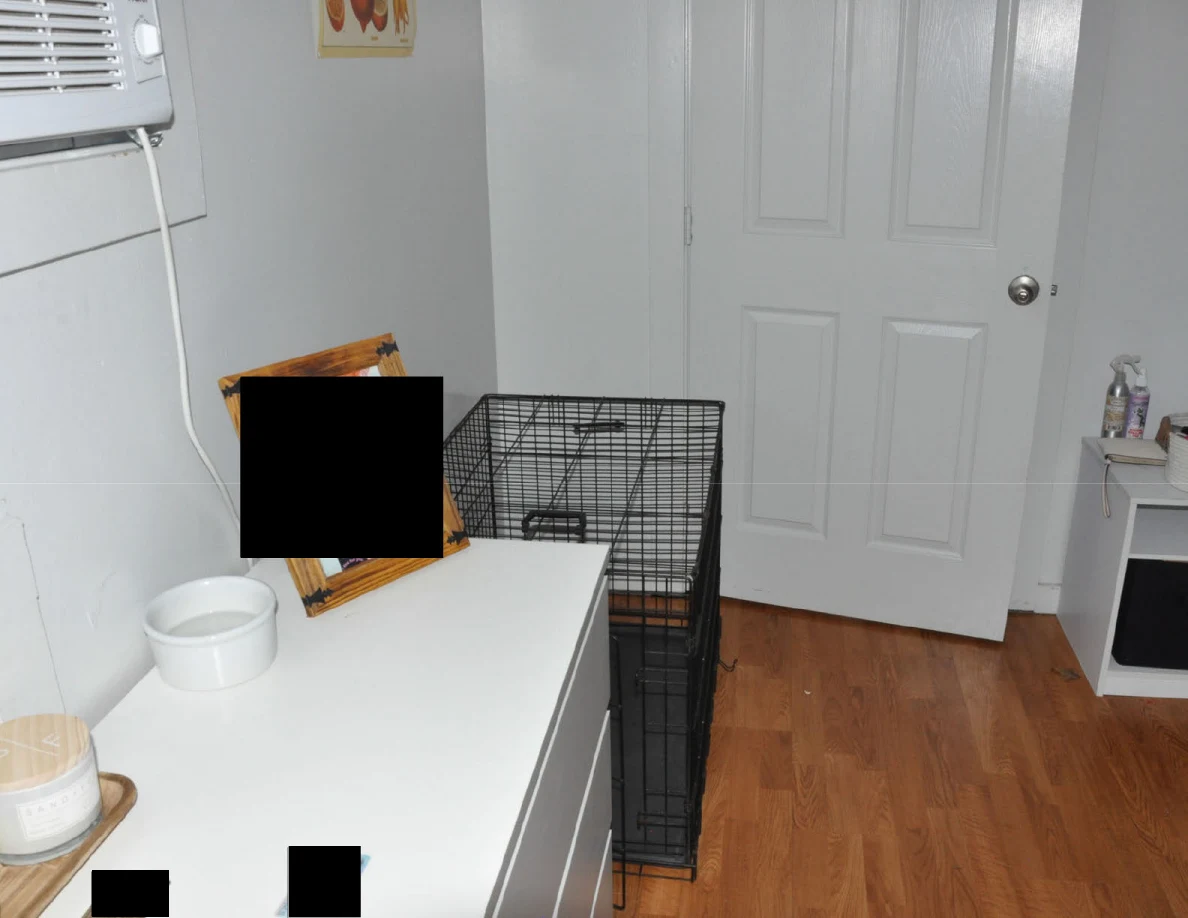 White dresser and wire pet crate beside a closed paneled door.