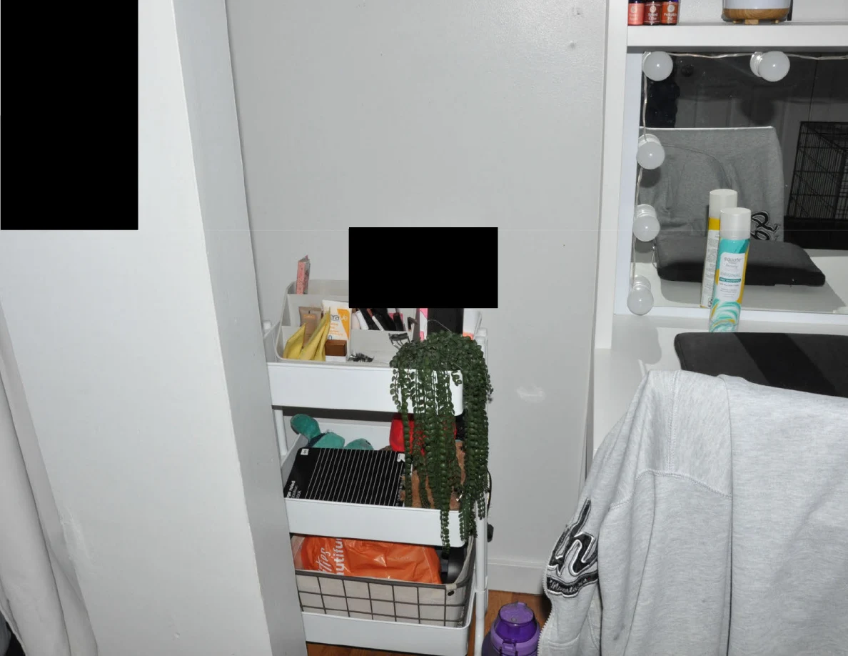 Vanity-side cart holding toiletries, notebooks and trailing plant beside a gray sweatshirt.