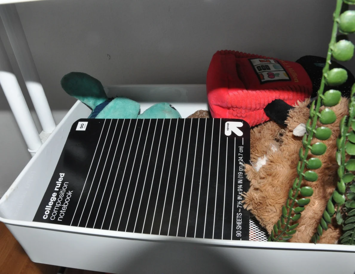 Cart shelf with black lined notebook, stuffed toys and trailing plant strands.