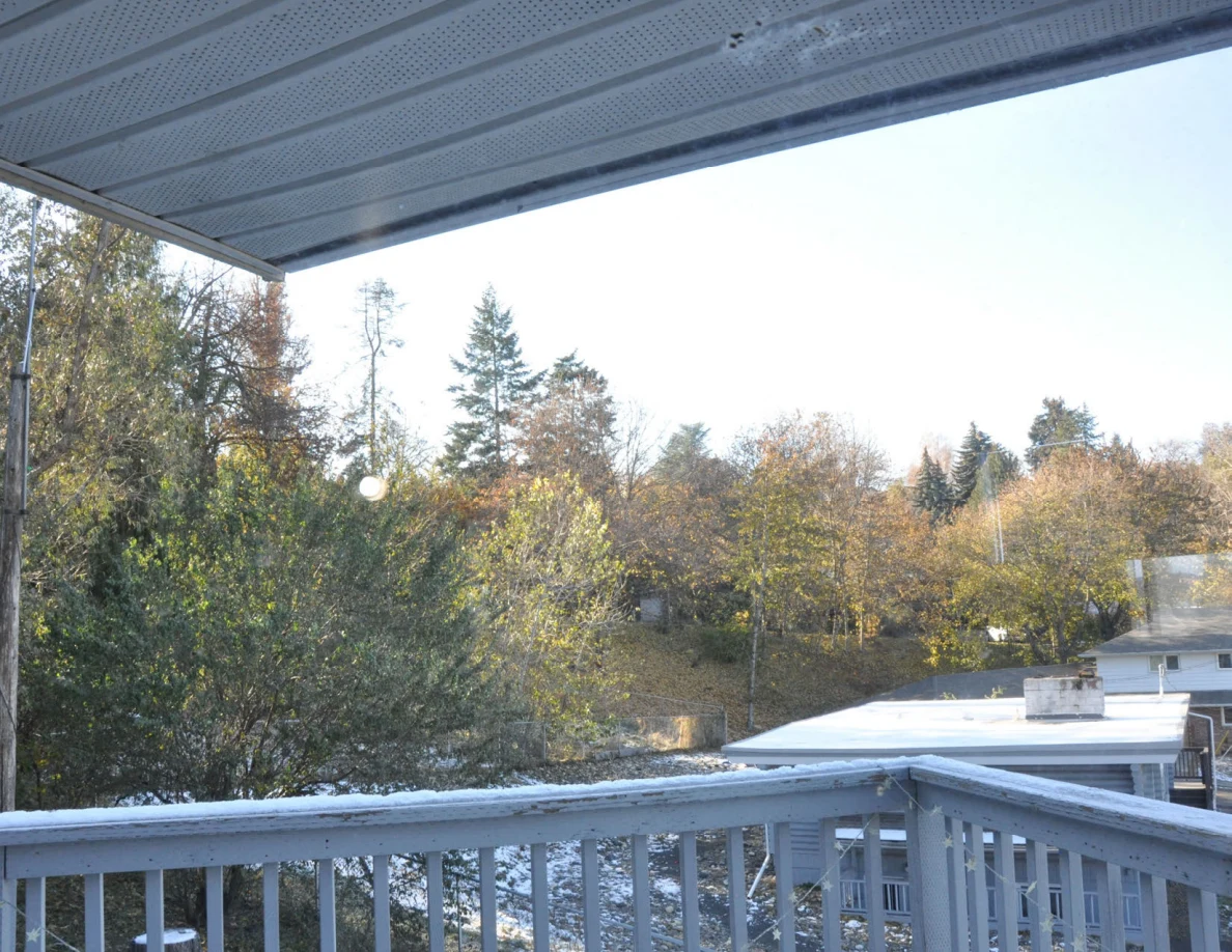 Balcony railing, roof overhang and trees with autumn foliage.