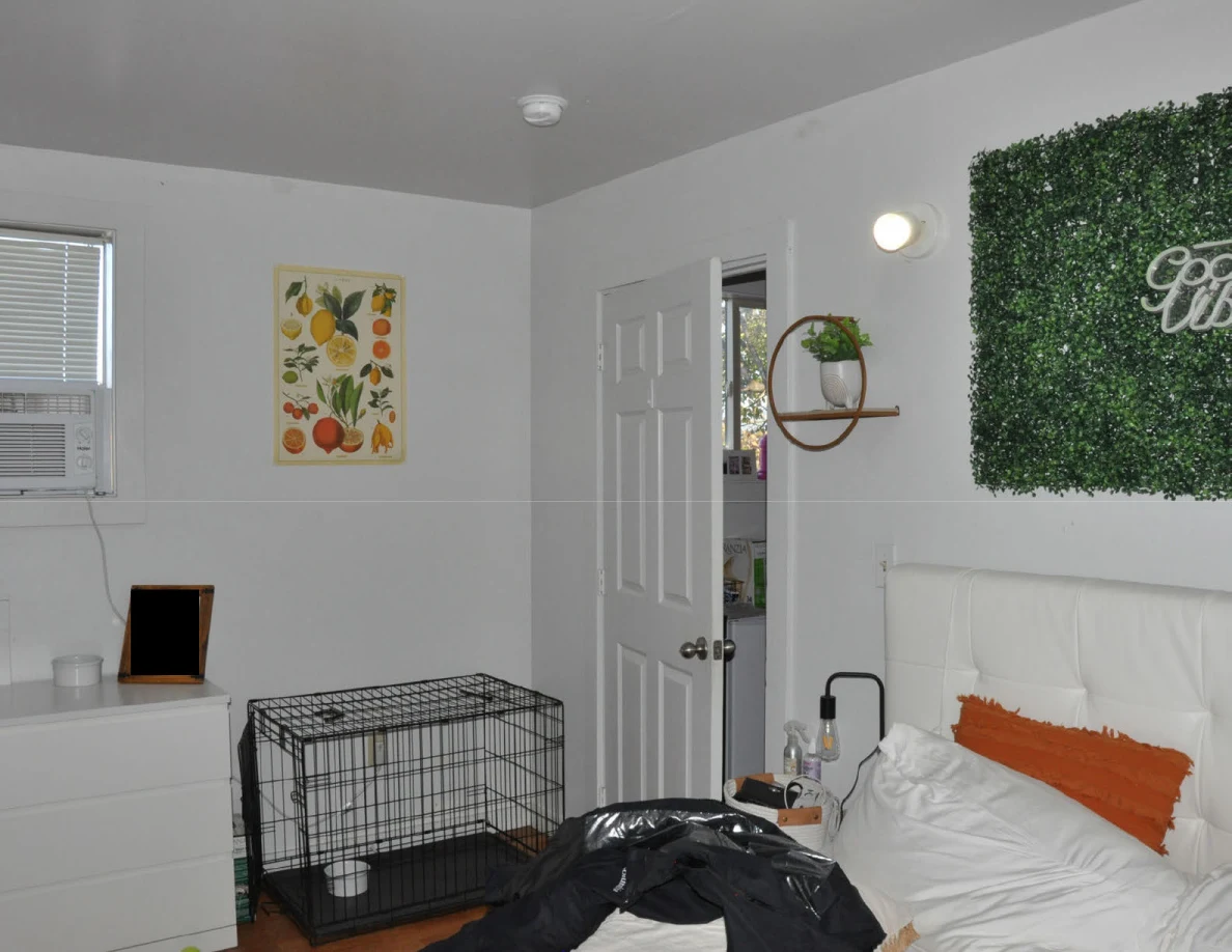 Bed and wire pet crate beside a door, fruit print and artificial greenery panel.