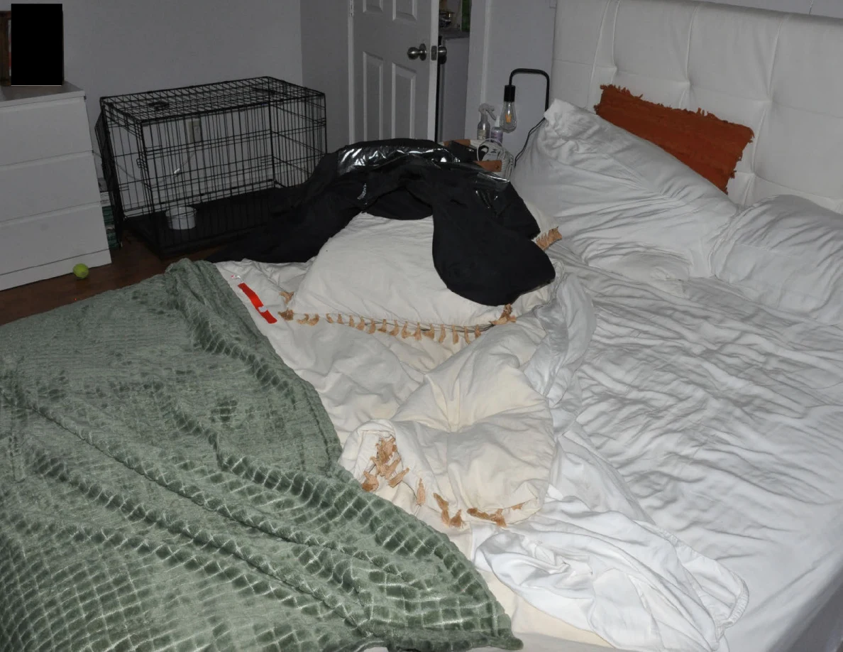 Rumpled white bedding with green blanket and dark clothing, with a pet crate behind.