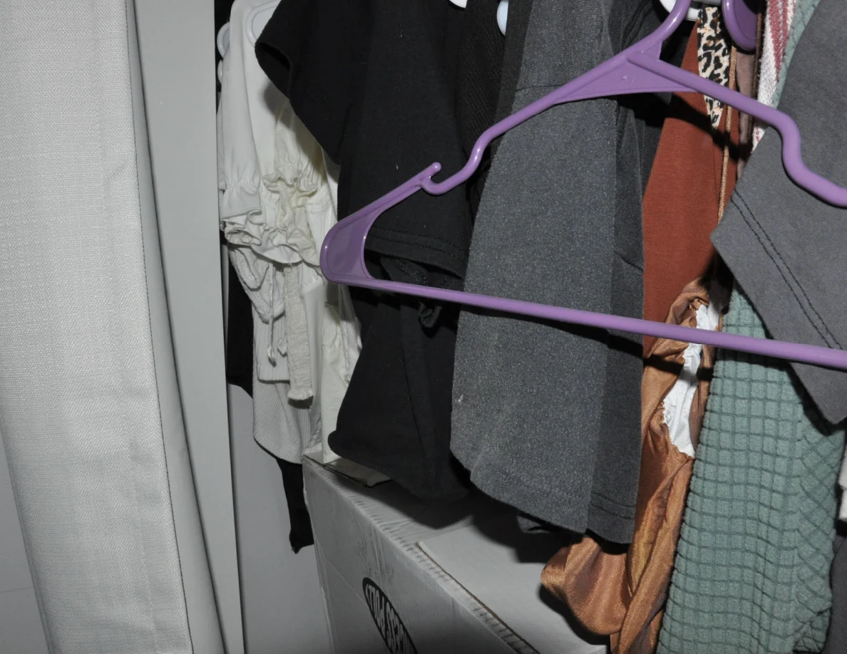 Close view of hanging garments and a purple hanger inside a closet.