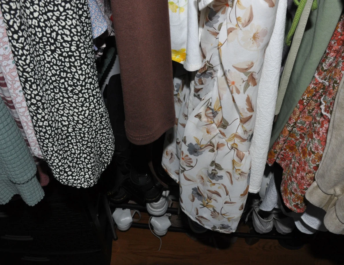 Lower hanging garments above rows of shoes in a closet.
