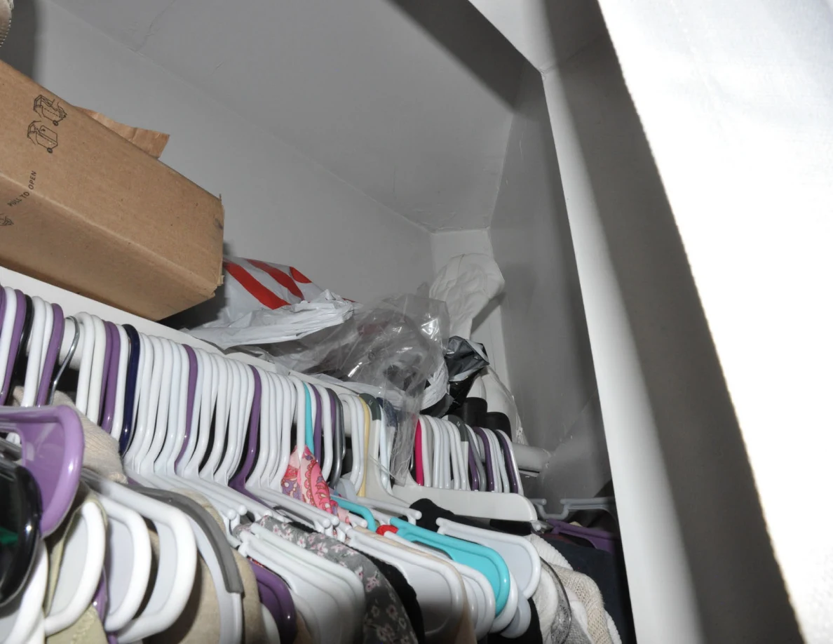 Closet shelf with cardboard box and plastic bags above packed hangers.