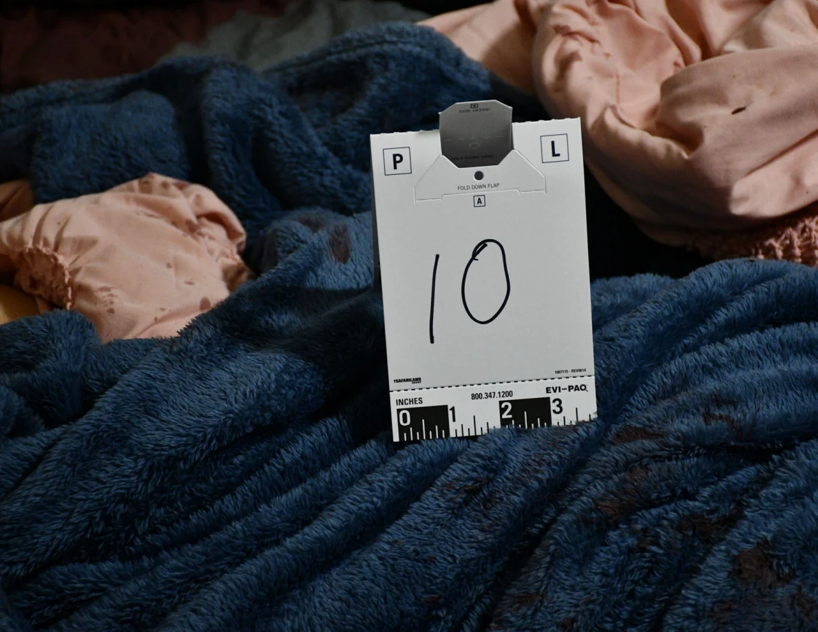 Scale card 10 standing on a blue textured blanket beside pink fabric.