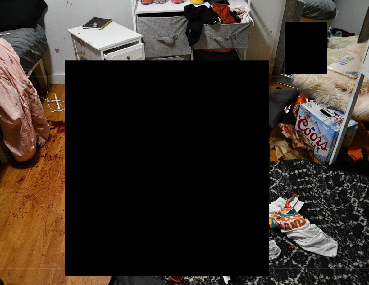 Bedroom furniture and patterned round rug with a large redacted area in the center.