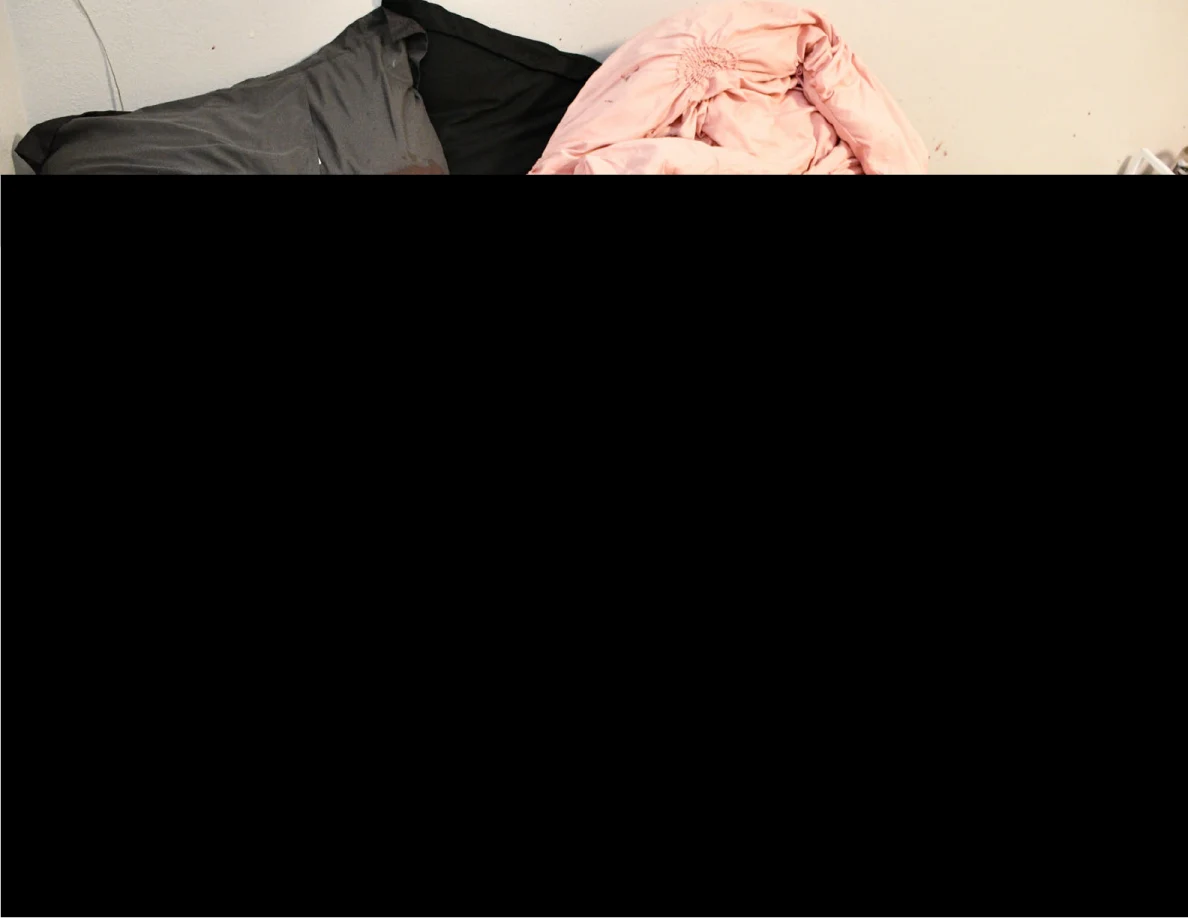 Dark pillows and pink bedding above a large black redaction.