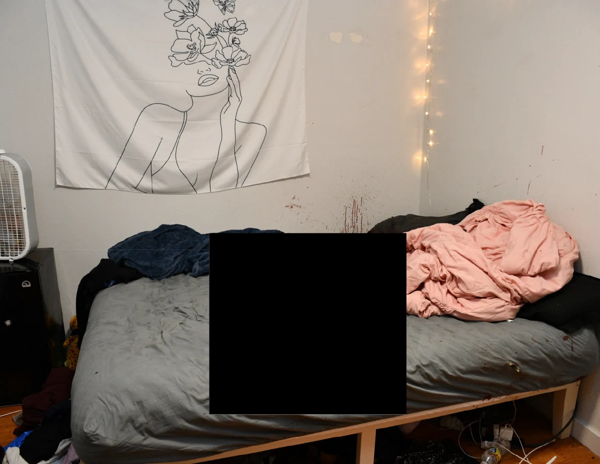Bed with pink bedding beneath a figure wall hanging and reddish wall marks, with central redaction.