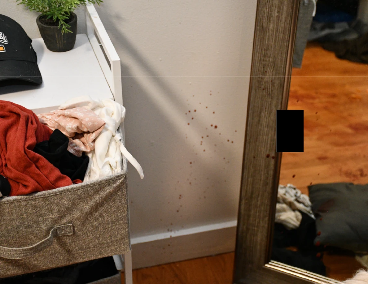 Reddish wall spots between fabric drawers and a mirror.