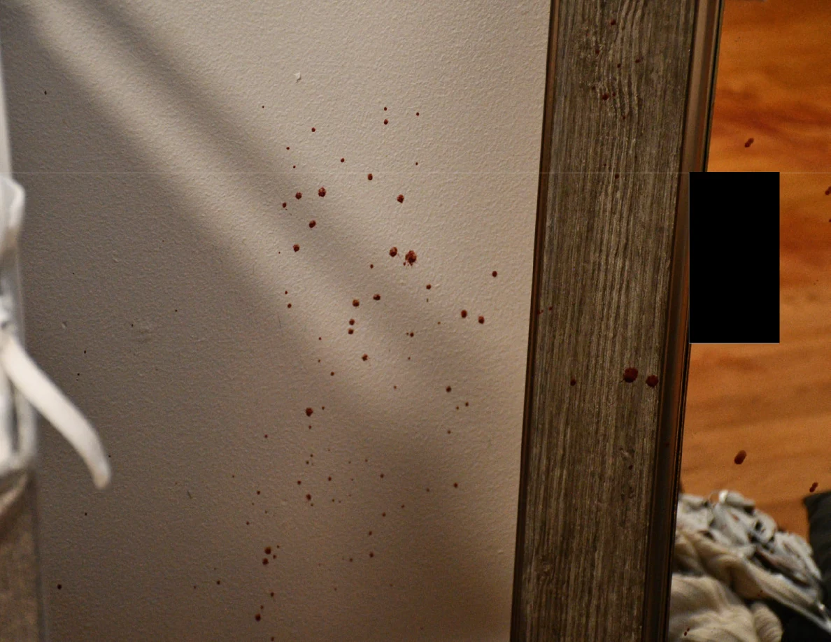 Close view of reddish spots on a wall beside a mirror frame.