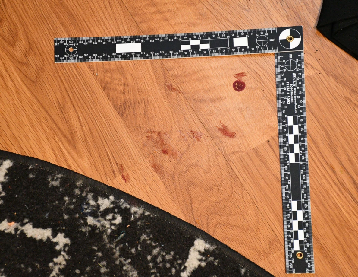 L-shaped measuring scale around reddish floor spots near a rug.