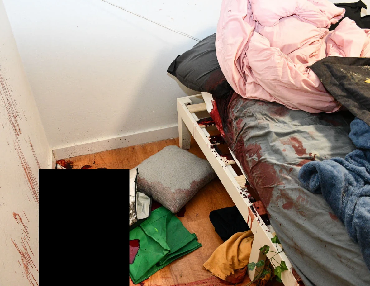 Bed with pink and blue bedding beside a pillow and green bag on a reddish-marked floor, partly redacted.