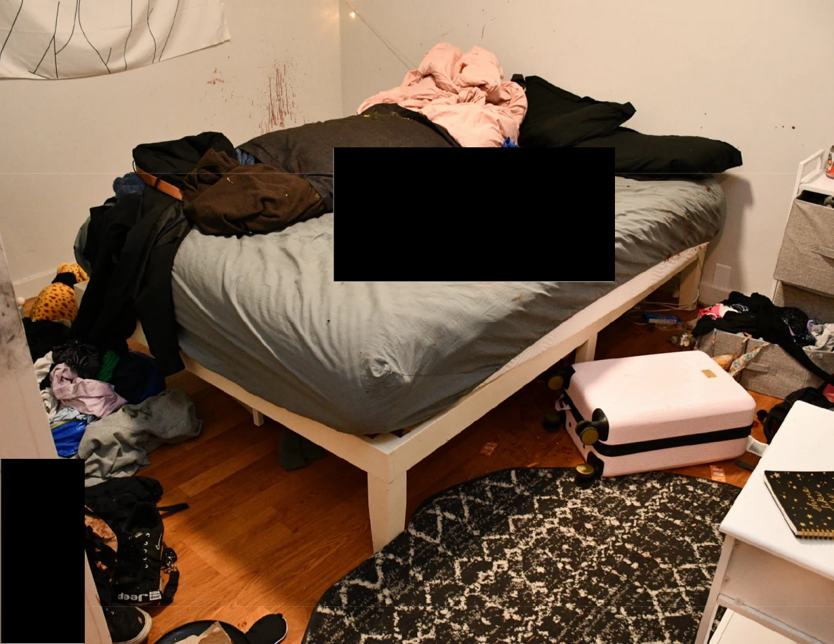 White bed frame with gray and dark bedding, pink suitcase and patterned rug, partly redacted.