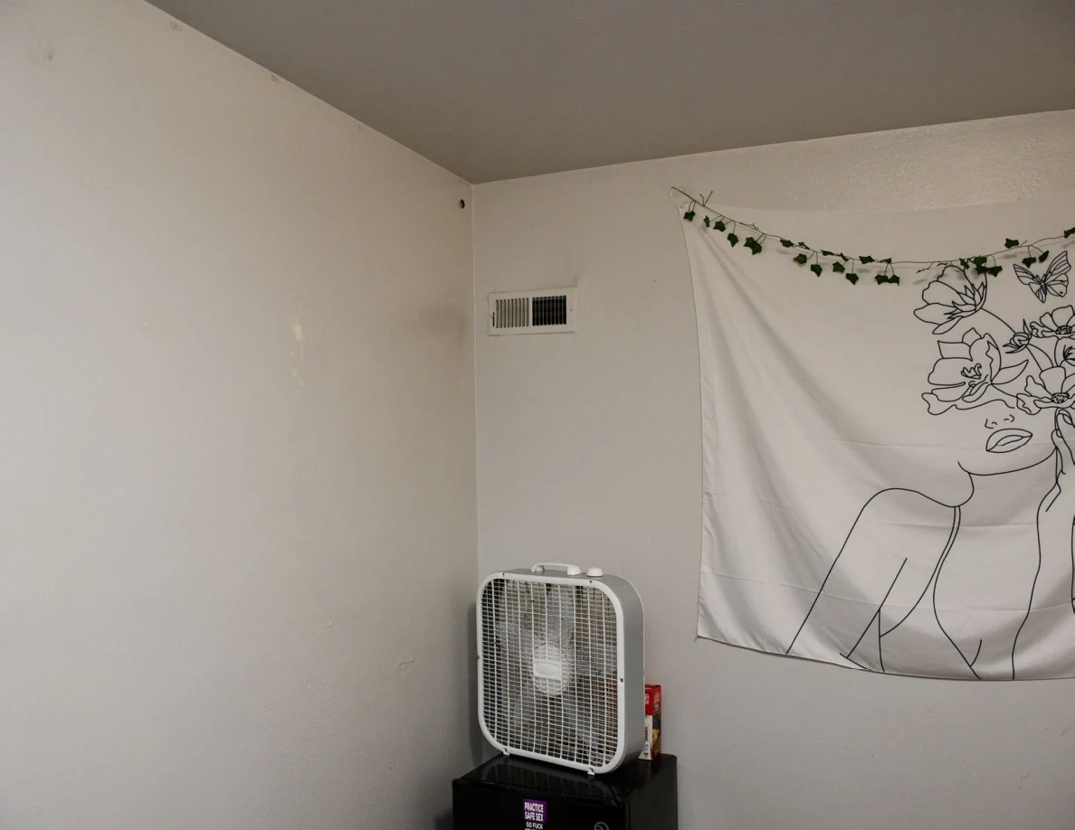 White wall with a floral line-art hanging above a box fan on a dark cabinet.
