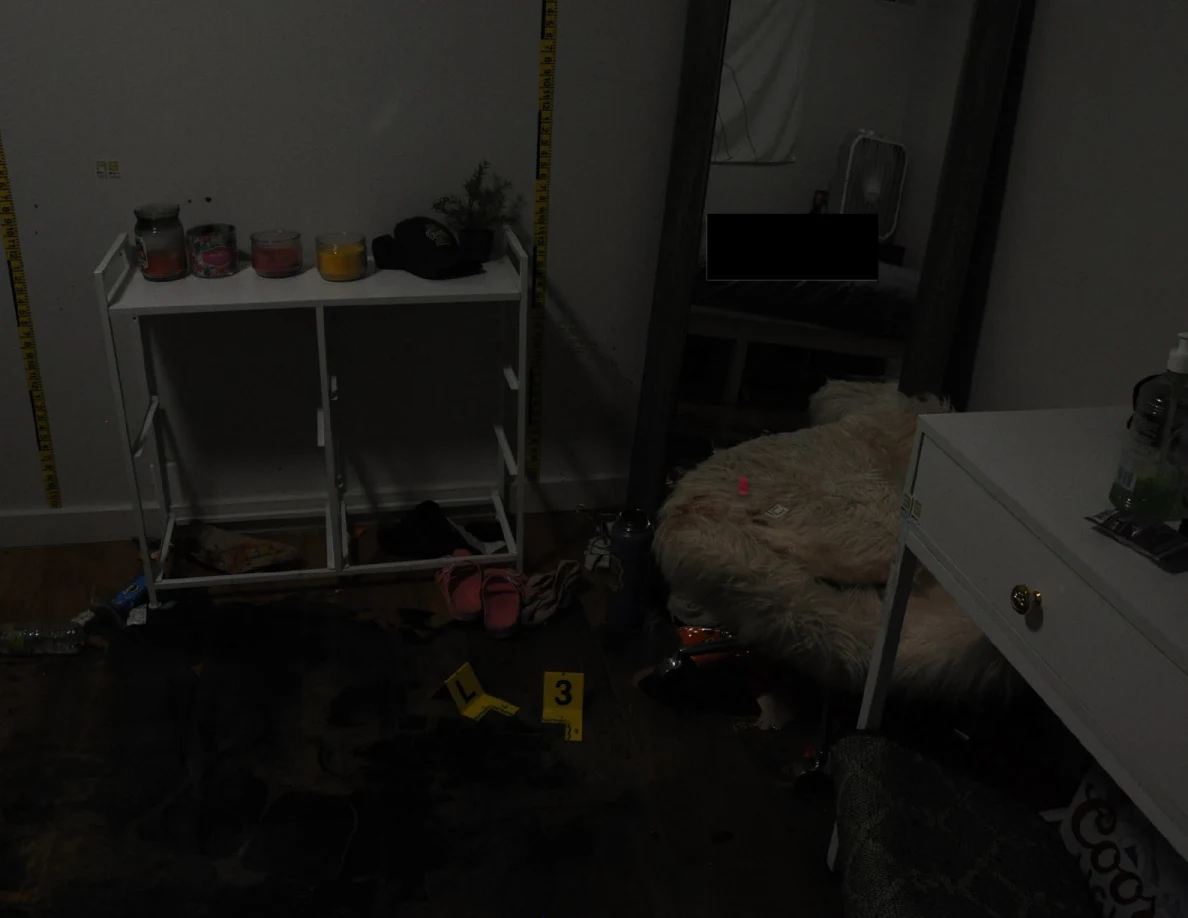Dim view of a white cabinet frame, mirror and fluffy chair above marked flooring.