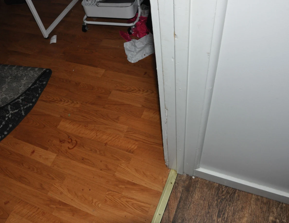 Bedroom doorway threshold and wood-pattern floor with small reddish marks.