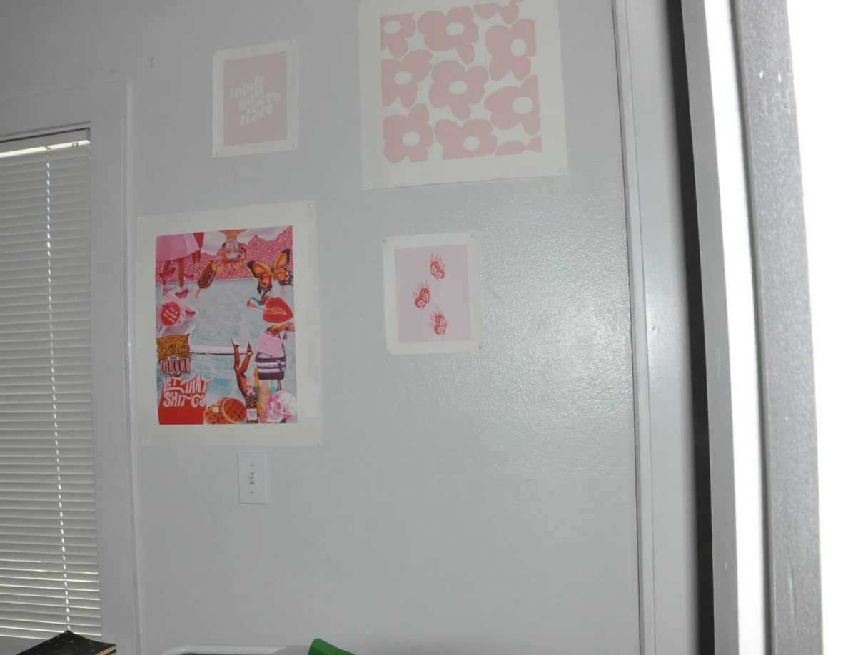 Pink decorative wall prints beside window blinds and a doorway.