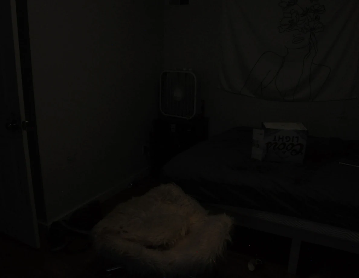 Very dim view of a bed, fluffy chair and box fan.