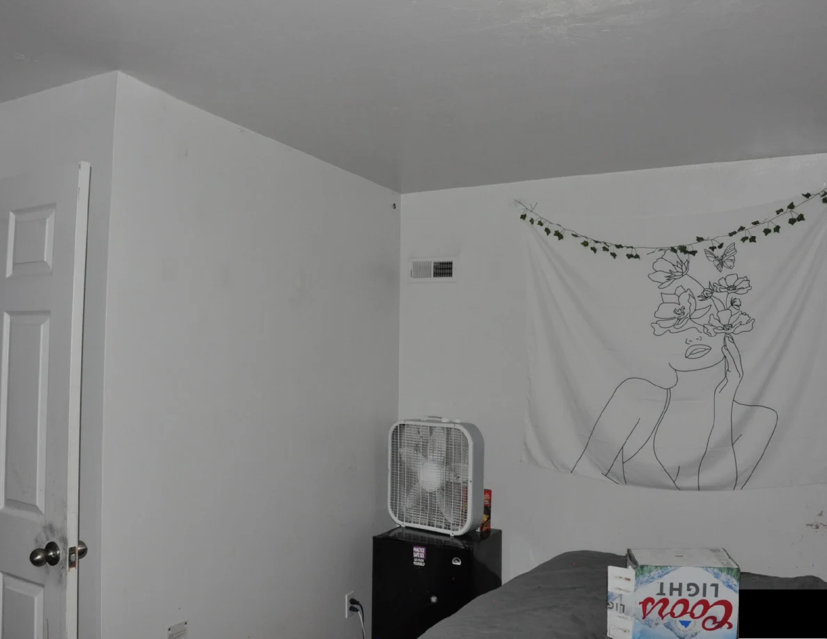 Upper bedroom wall with floral line-art hanging, box fan and open door.