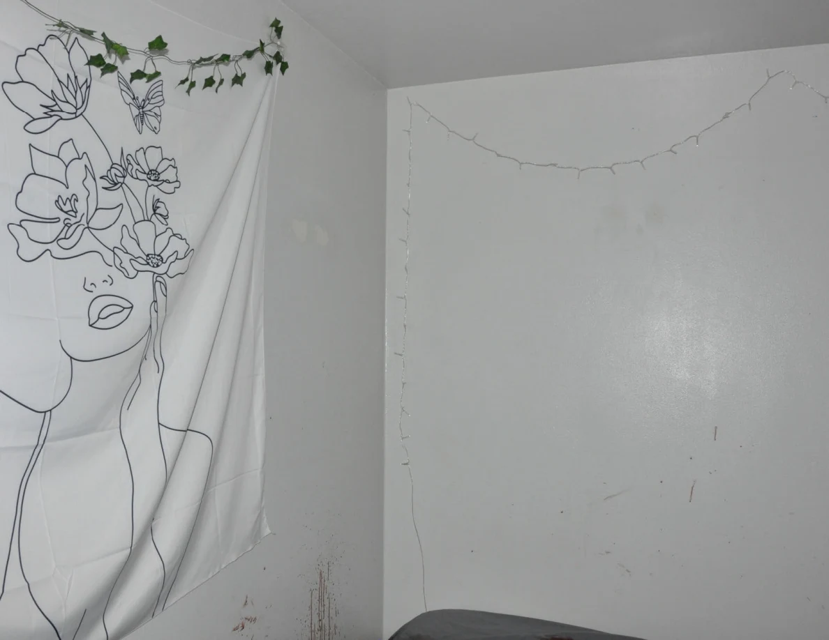 Floral line-art wall hanging beside string lights and reddish wall marks.