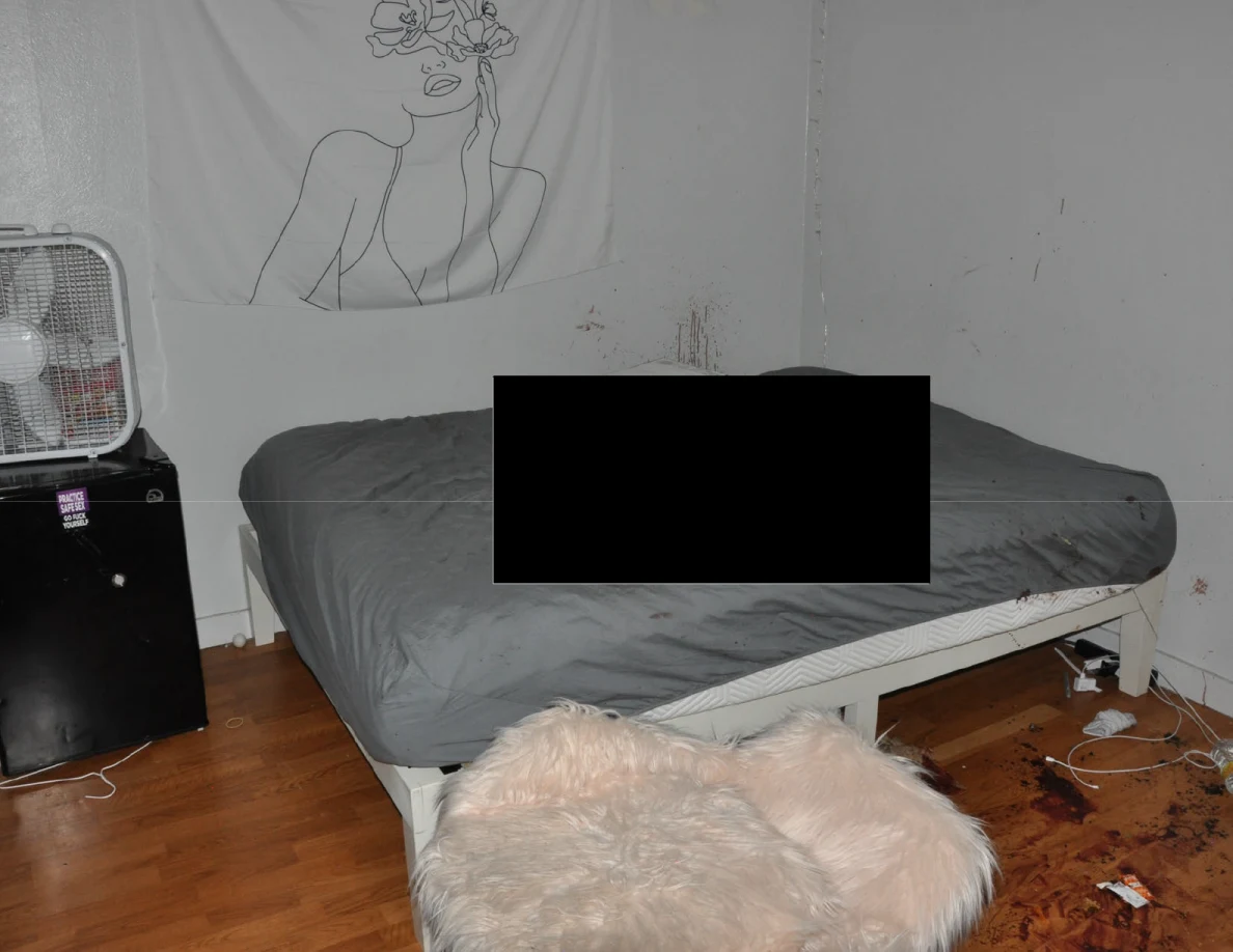 Partly redacted gray-covered bed beneath a floral wall hanging beside a fluffy chair.