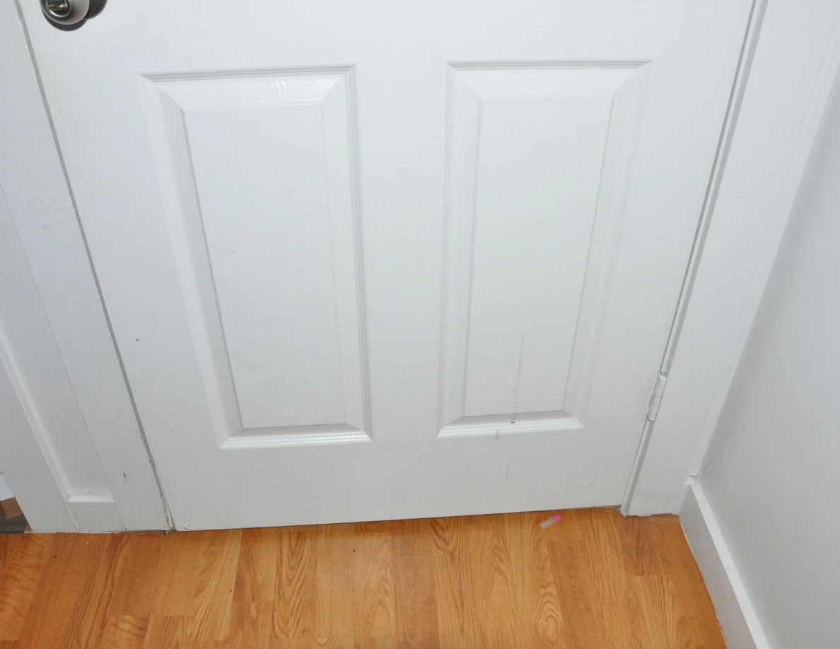 Lower panels of a closed white door above wood-pattern flooring.