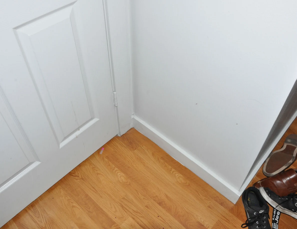 Lower door corner beside wood-pattern flooring and footwear.