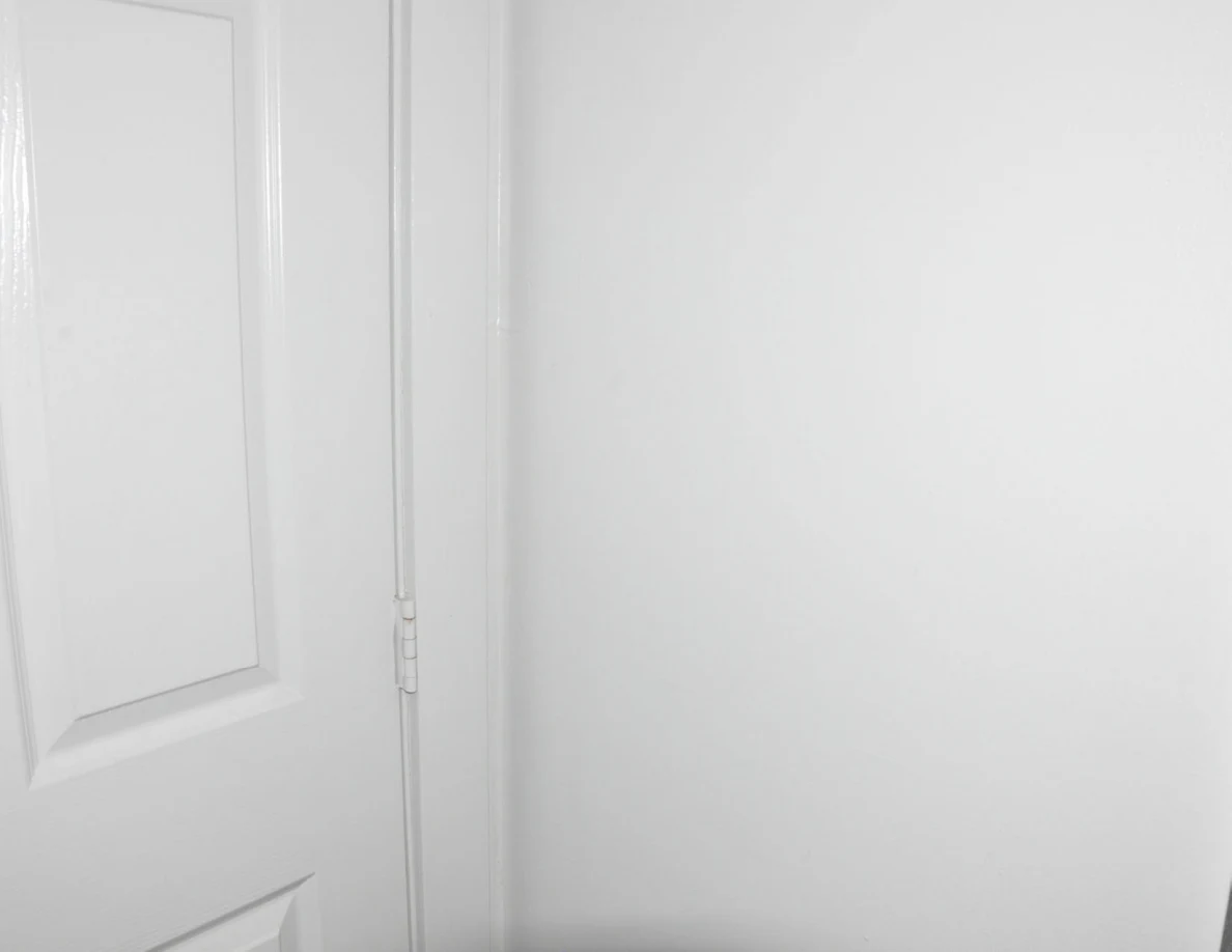 White wall and middle hinge beside a closed paneled door.